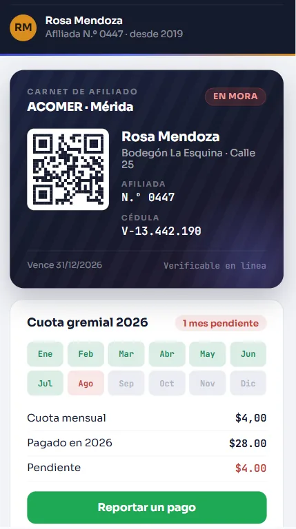 Ejemplo de portal para clientes